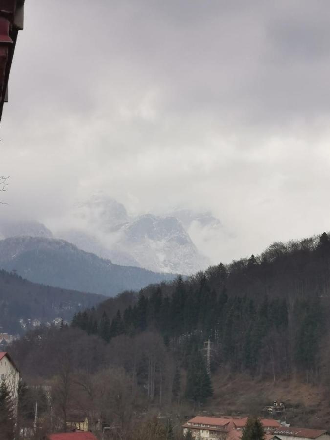 Apartament Panoramic View Sinaia Apartment Exterior photo