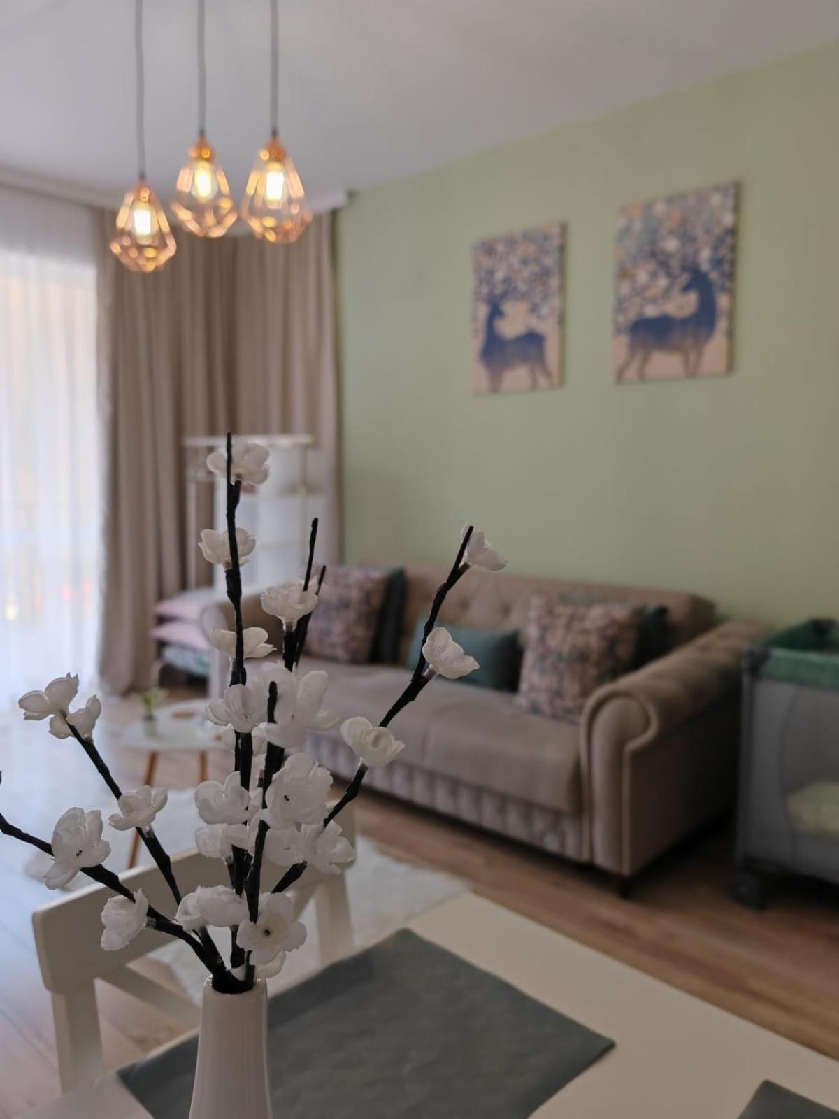 Apartament Panoramic View Sinaia Apartment Exterior photo